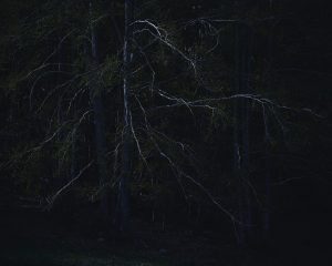 Oscure Presenze
